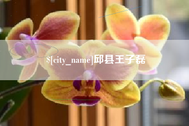 郴州邱县王子磊