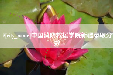 郴州中国消防救援学院新疆录取分数