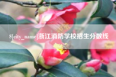 郴州浙江消防学校招生分数线