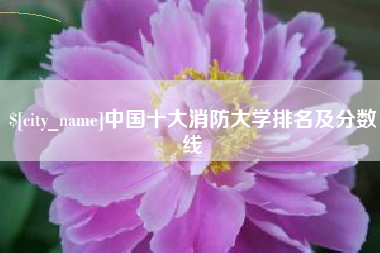 郴州中国十大消防大学排名及分数线