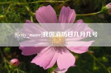 郴州我国消防日几月几号