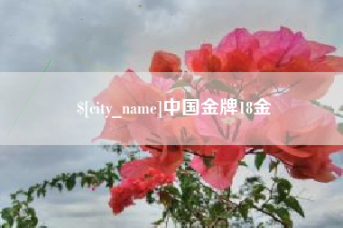 郴州中国金牌18金