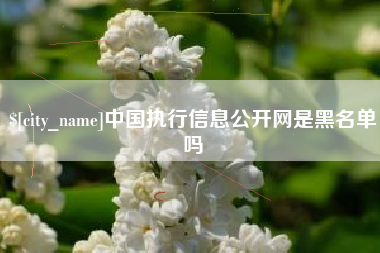郴州中国执行信息公开网是黑名单吗