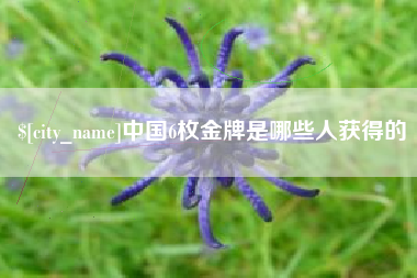 郴州中国6枚金牌是哪些人获得的