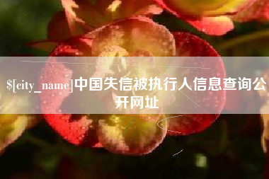 郴州中国失信被执行人信息查询公开网址