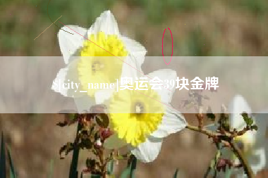 郴州奥运会39块金牌