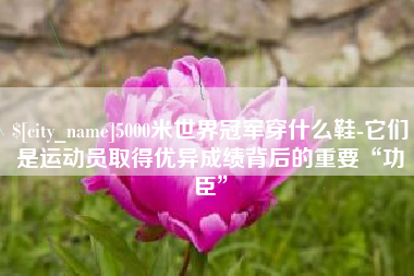 郴州5000米世界冠军穿什么鞋-它们是运动员取得优异成绩背后的重要“功臣”