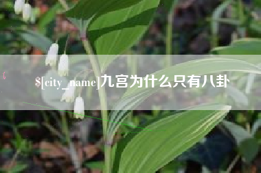 郴州九宫为什么只有八卦