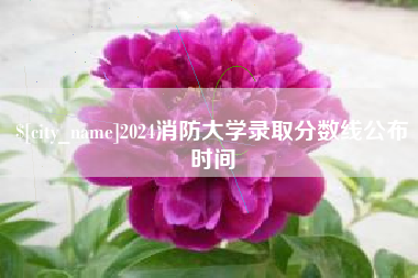 郴州2024消防大学录取分数线公布时间