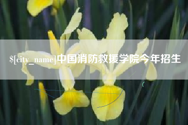 郴州中国消防救援学院今年招生
