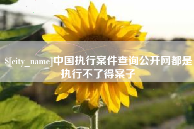 郴州中国执行案件查询公开网都是执行不了得案子