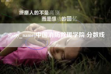 郴州中国消防救援学院 分数线
