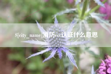 郴州消防ccc认证什么意思