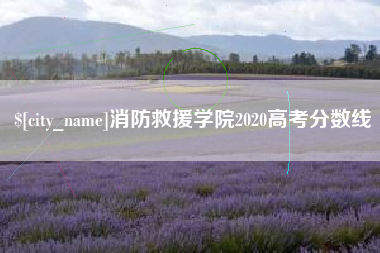郴州消防救援学院2020高考分数线