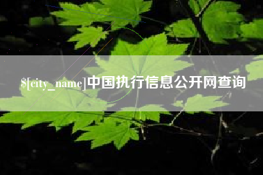 郴州中国执行信息公开网查询