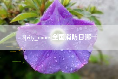 郴州全国消防日哪一