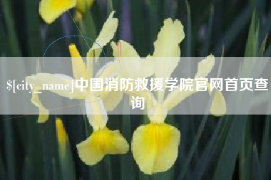郴州中国消防救援学院官网首页查询