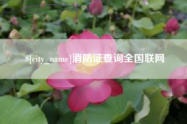 郴州消防证查询全国联网