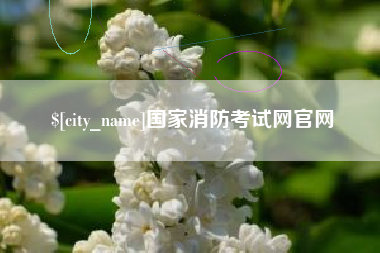 郴州国家消防考试网官网