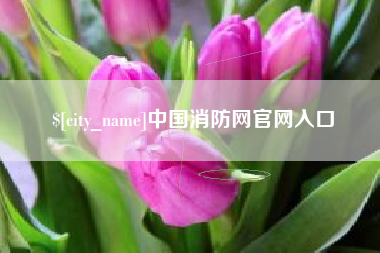 郴州中国消防网官网入口
