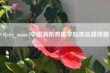 郴州中国消防救援学院地址路线图