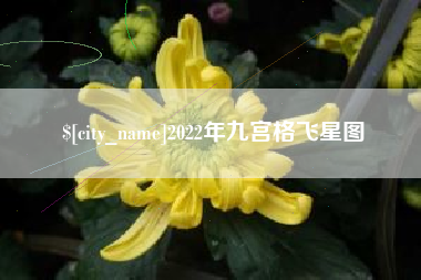 郴州2022年九宫格飞星图