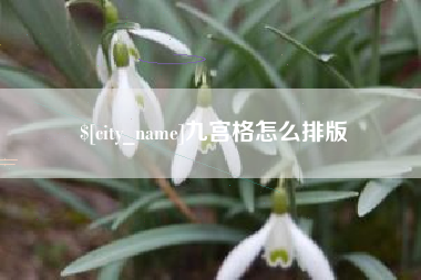 郴州九宫格怎么排版