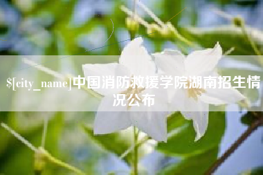 郴州中国消防救援学院湖南招生情况公布