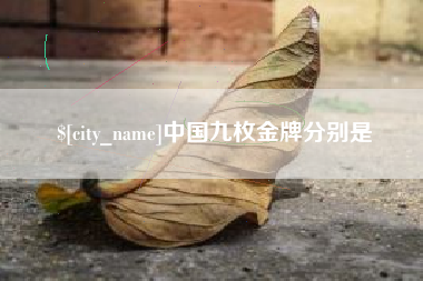郴州中国九枚金牌分别是