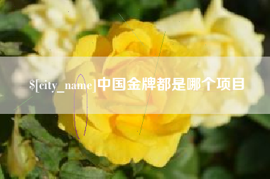 郴州中国金牌都是哪个项目