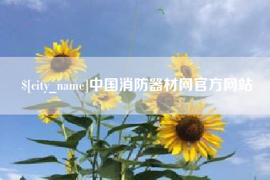 郴州中国消防器材网官方网站