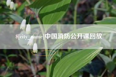 郴州中国消防公开课回放