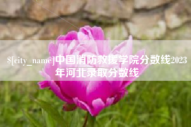 郴州中国消防救援学院分数线2023年河北录取分数线
