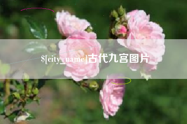郴州古代九宫图片