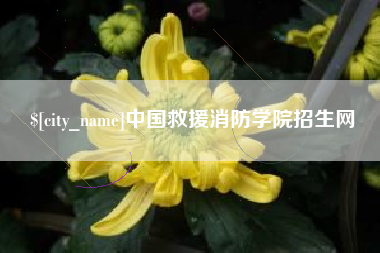 郴州中国救援消防学院招生网