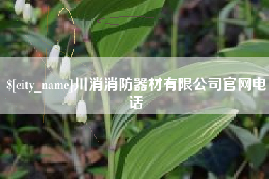 郴州川消消防器材有限公司官网电话