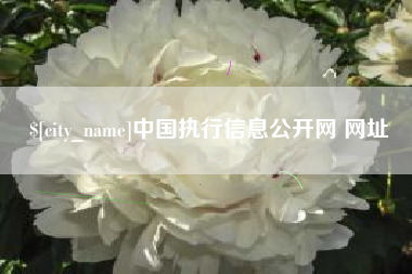 郴州中国执行信息公开网 网址