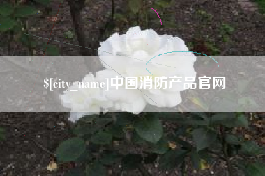 郴州中国消防产品官网