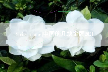 郴州中国的几块金牌2021