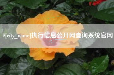 郴州执行信息公开网查询系统官网
