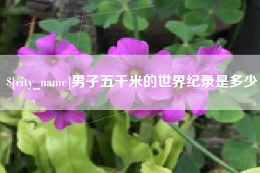 郴州男子五千米的世界纪录是多少