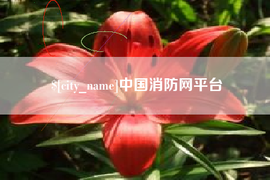 郴州中国消防网平台