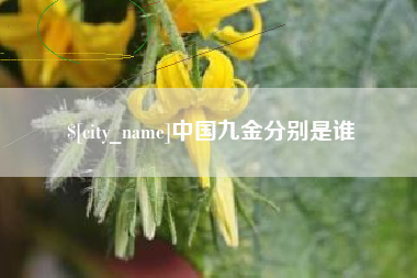 郴州中国九金分别是谁