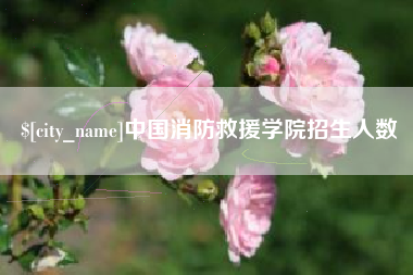 郴州中国消防救援学院招生人数
