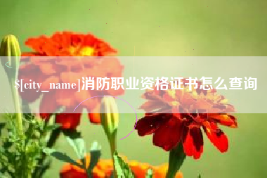 郴州消防职业资格证书怎么查询