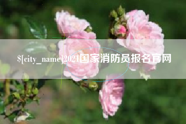 郴州2021国家消防员报名官网