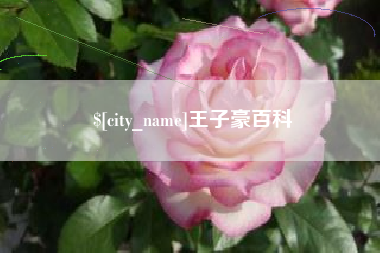 郴州王子豪百科
