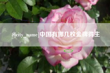 郴州中国有哪几枚金牌得主