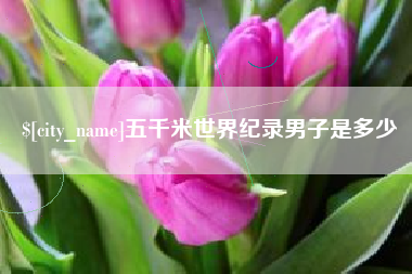 郴州五千米世界纪录男子是多少
