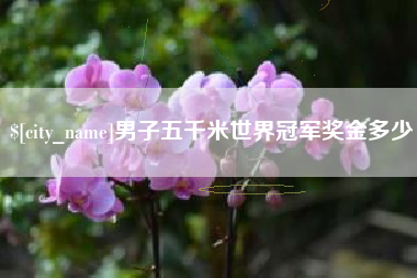 郴州男子五千米世界冠军奖金多少